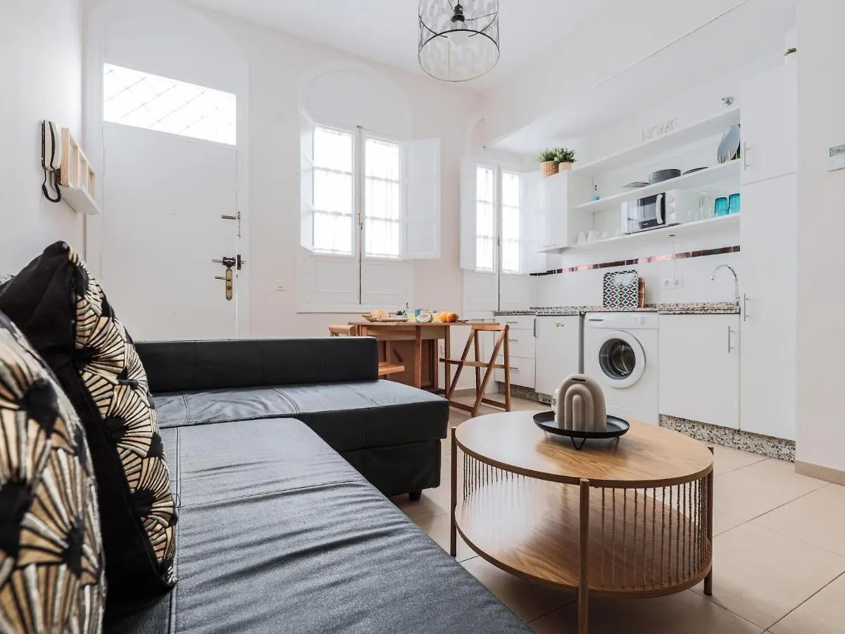 Apartment Fantastico Apt Junto Museo Bellas Artes Centro Seville